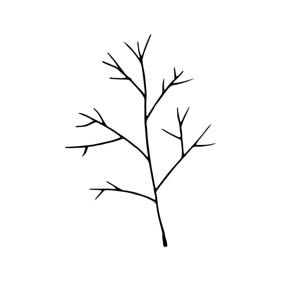 Hand drawn doodle leaf. Vector clipart with branch.