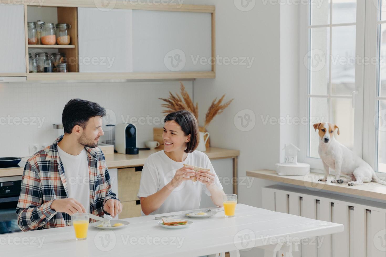 Happy husband and wife have pleasant talk while have breakfast in kitchen, enjoy weekend, dressed in domestic clothes, eat delicious meal, their favourite dog poses on windowsill near. Family, meal photo