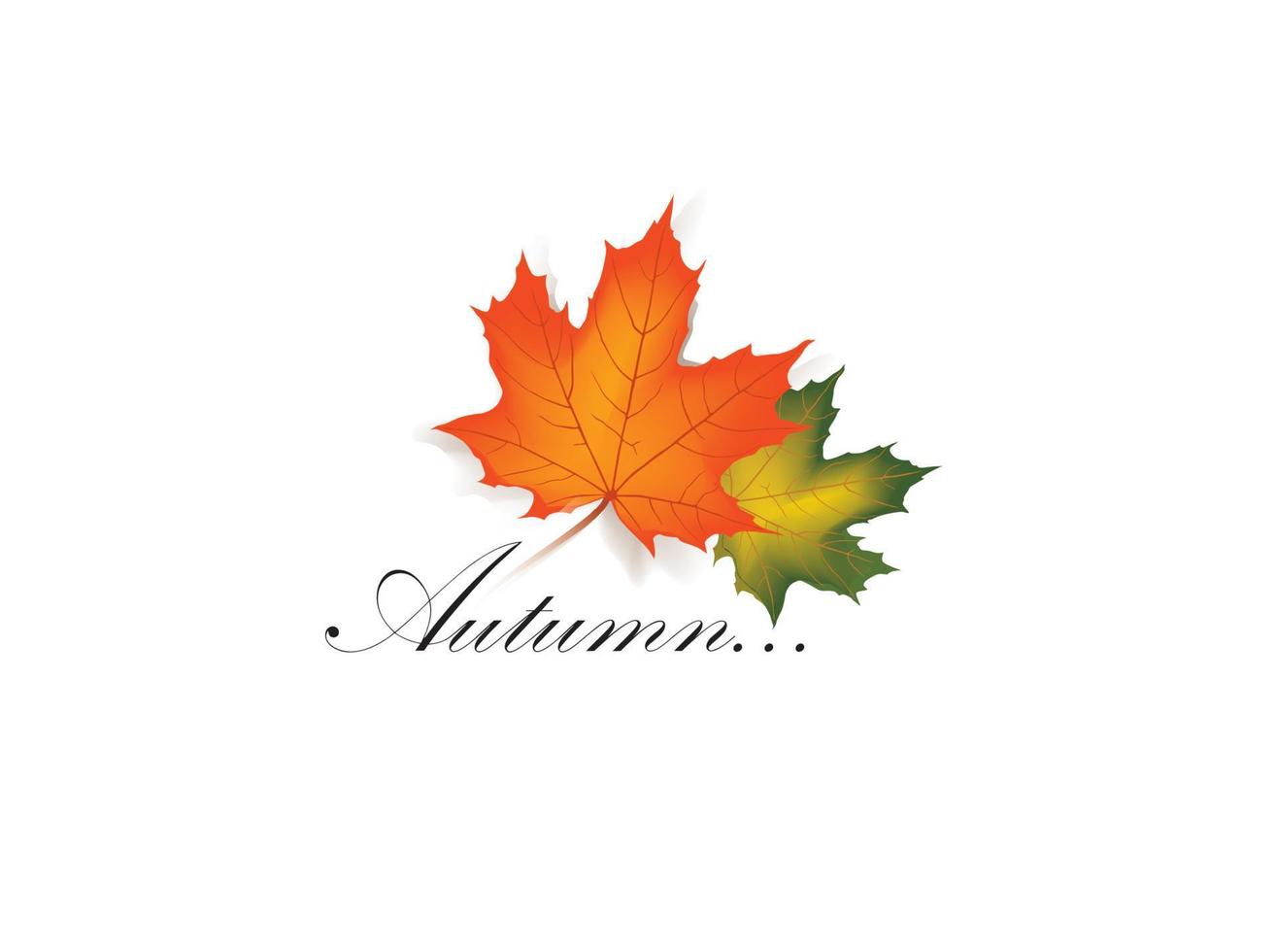 Autumn maple leaf frame with lettering and copy space on white background. Fall leaves banner. vector illustration