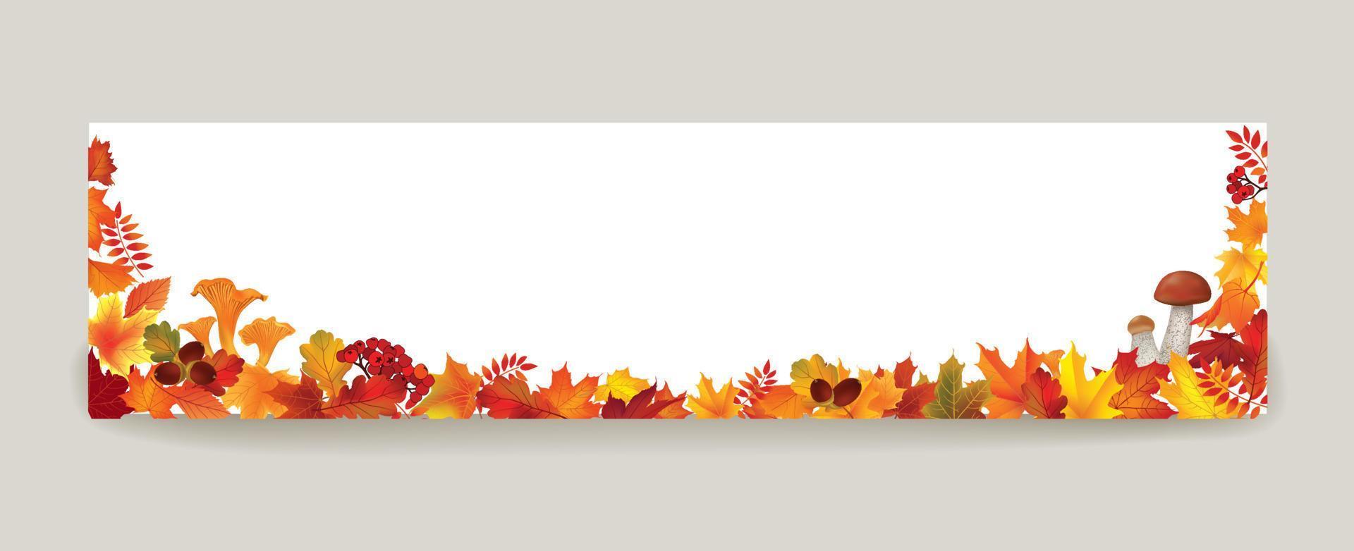 Autumn leaves background. Season floral horizontal wallpaper. Fall leaf nature banner sale design vector
