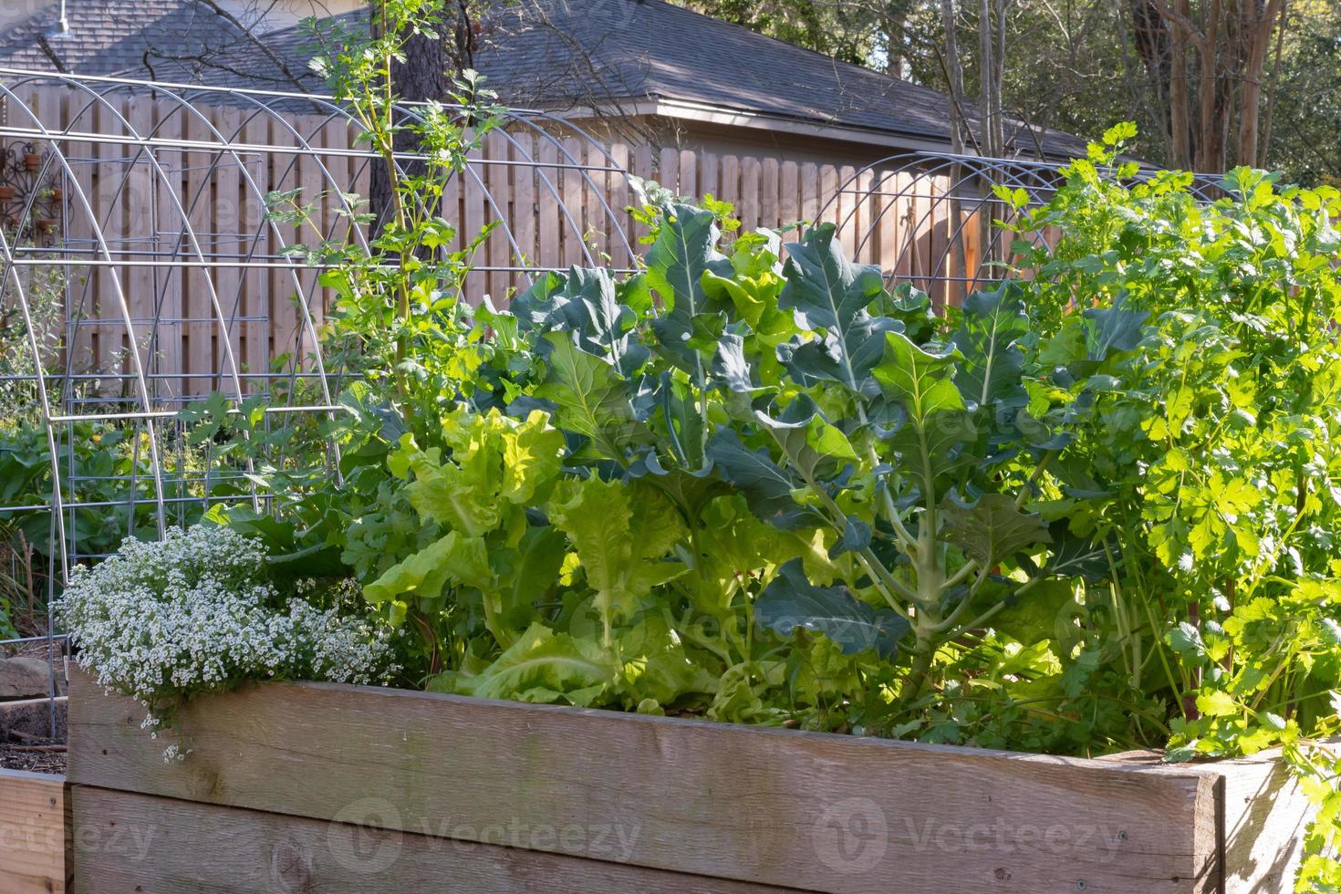 una cama elevada llena de verduras, hierbas y flores. foto