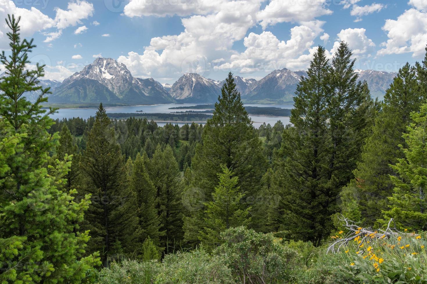 Jackson Lake Overlook on Signal Mountain Road in Grand Teton National Park, Wyoming. photo