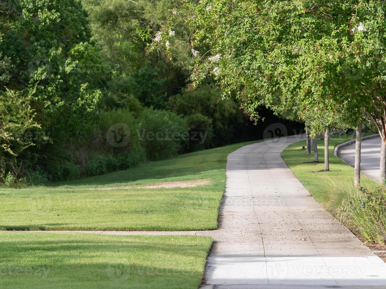 A walking path in the Woodlands, Texas on a sunny day in summer. photo