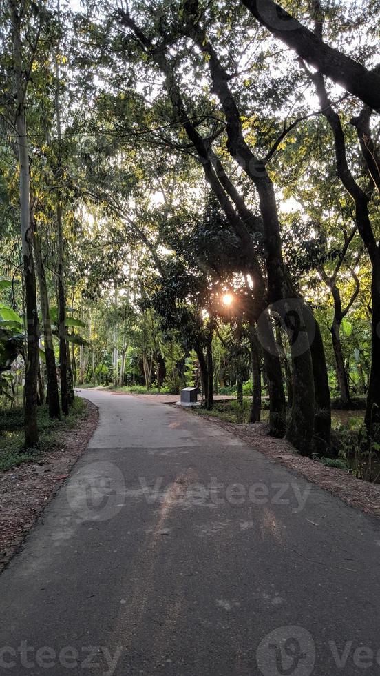 Road pathway in the park for relaxing walking jogging landscape photo