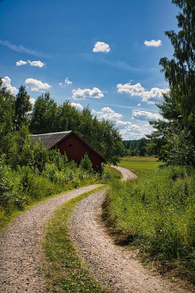 a path in smalland sweden through meadows, fields and forests. photo