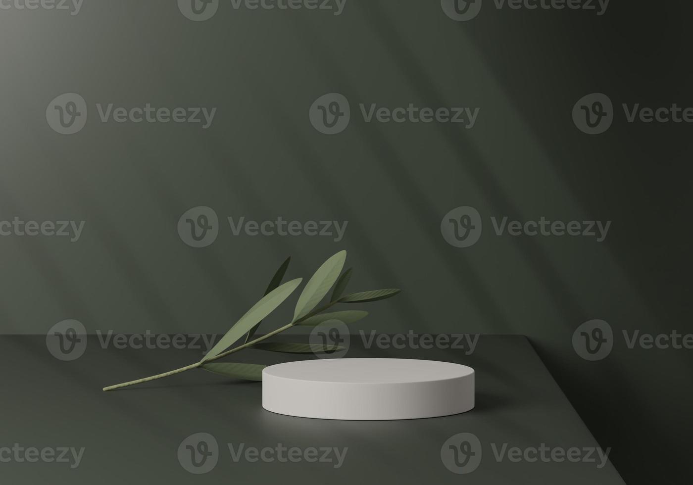 Abstract white round corner pedestal podium with leaf, Product display podium in room, 3d rendering studio with geometric shapes, Cosmetic product minimal scene with platform, Stand to show products photo