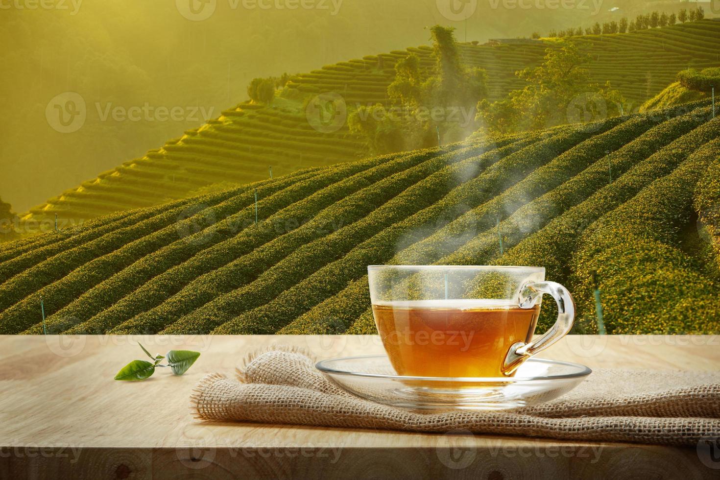 Cup of hot tea and tea leaf on the wooden table and the tea plantations background photo