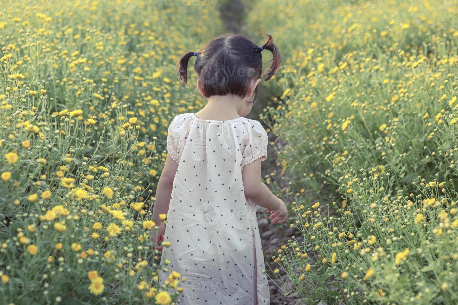 Cute little laughing girl or asian little girl walking in the field of yellow flowers in a sunny summer evening, at the sunset with copy photo