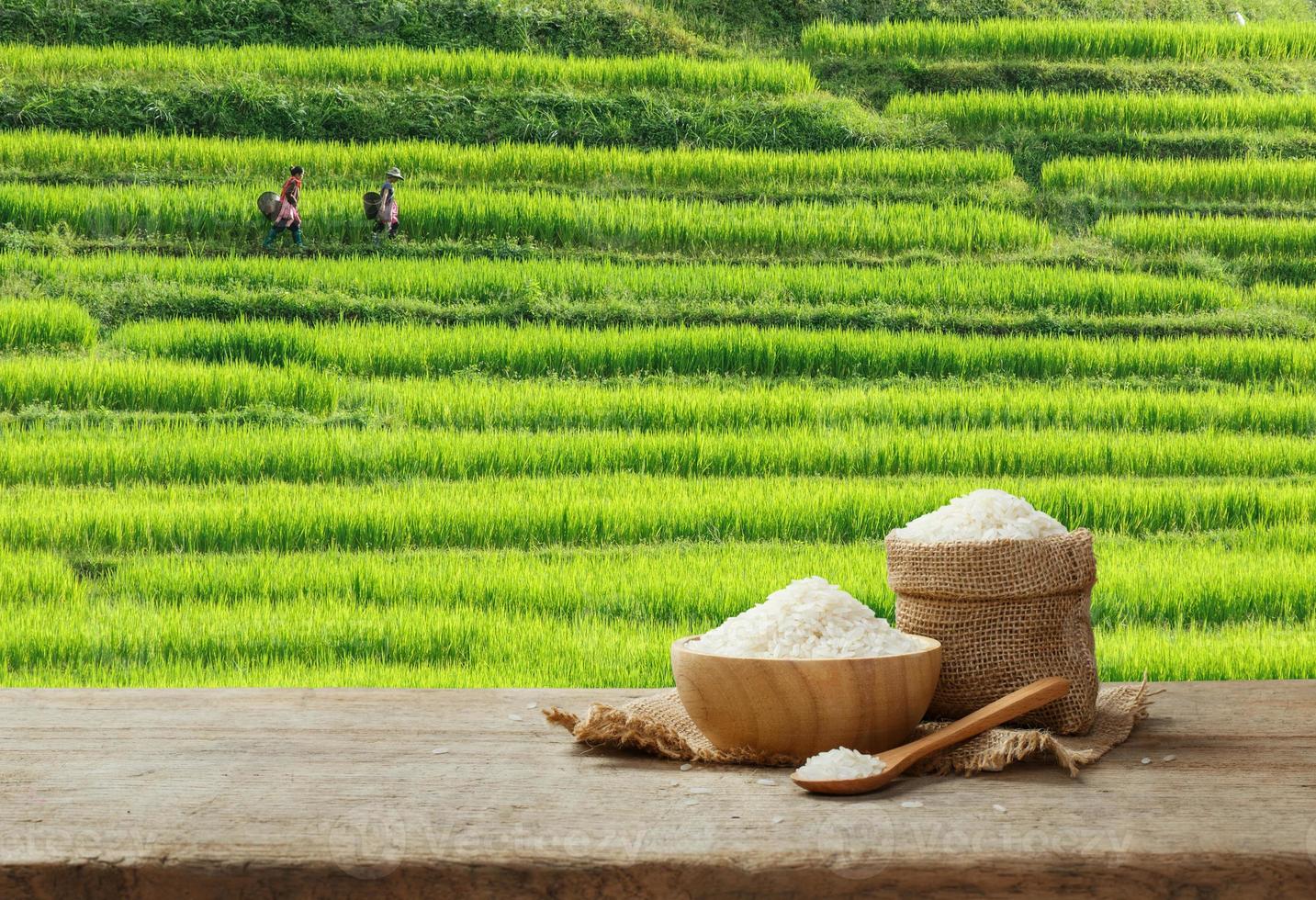 Jasmine Rice in bowl and burlap sack on wooden table with the rice field background photo