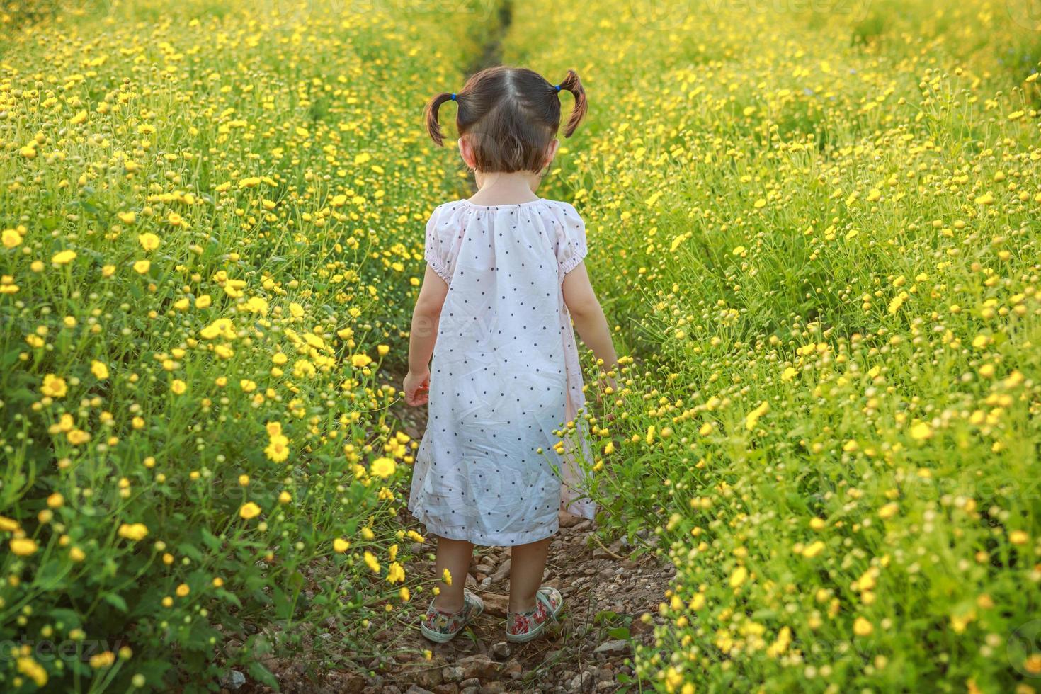 linda niñita riendo o niñita asiática caminando en el campo de flores amarillas en una soleada tarde de verano, al atardecer con copia foto