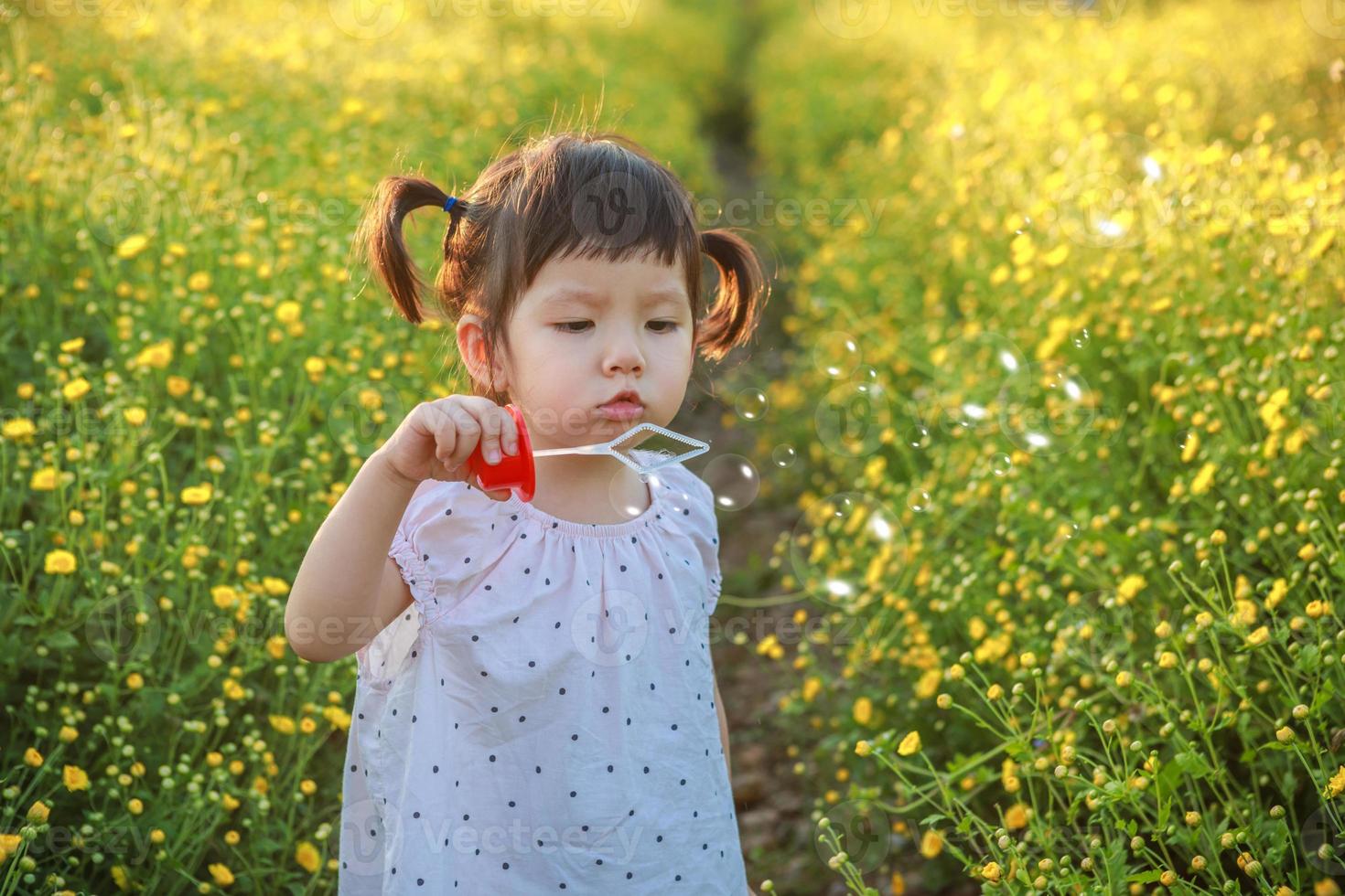 Cute little asian girl is blowing a soap bubbles in the field of yellow flowers in a sunny summer evening, at the sunset with copy space photo