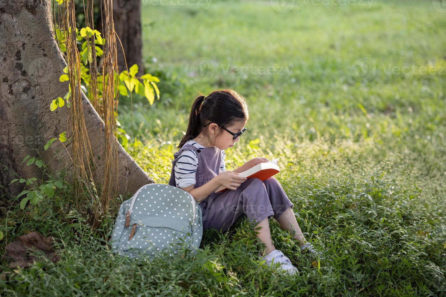 A pretty little Asian girl reading a book under the big tree. photo