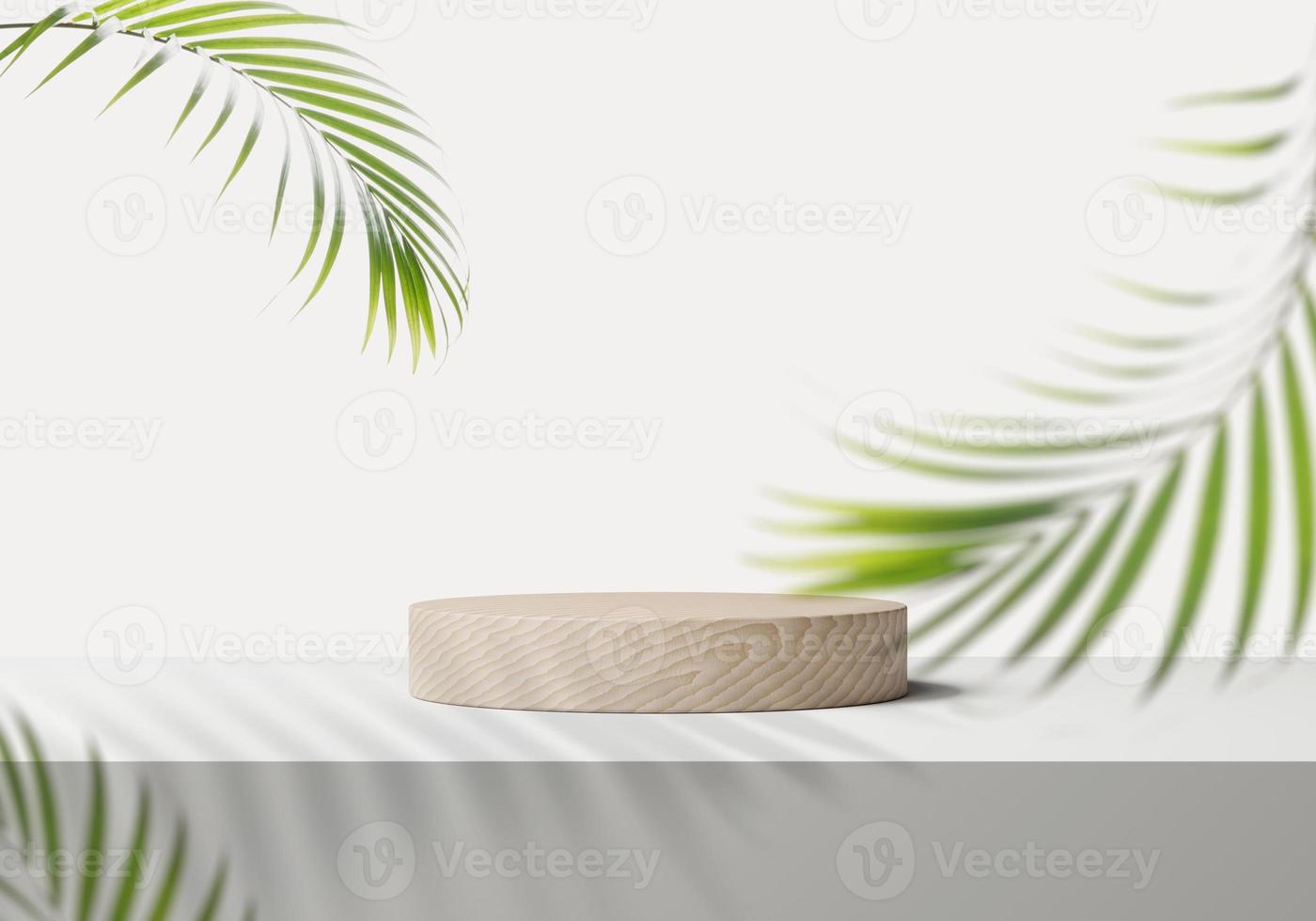 Cosmetic round podium or pedestal with leafs on white background, Abstract product display podium, 3d rendering studio with geometric shapes, Cosmetic product minimal scene with platform photo