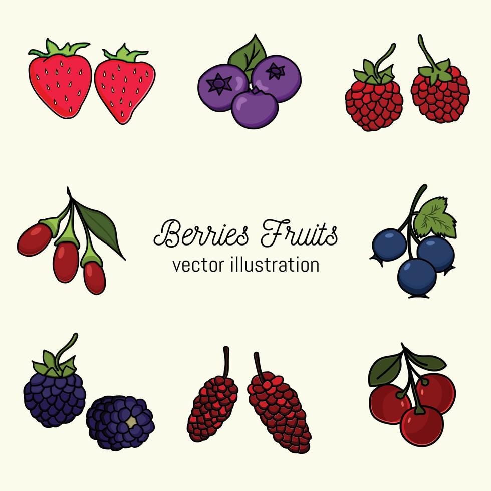 set of berries fruit vector illustration