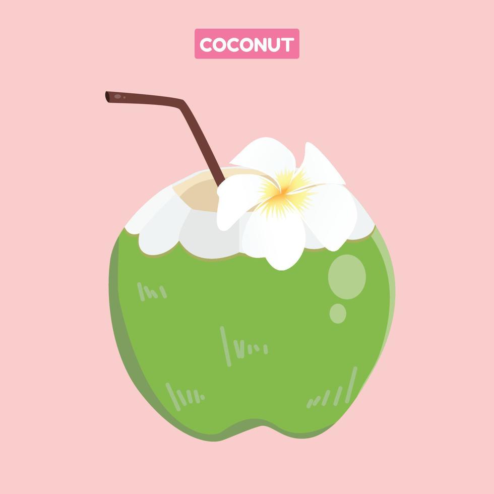 icono de coco verano vector