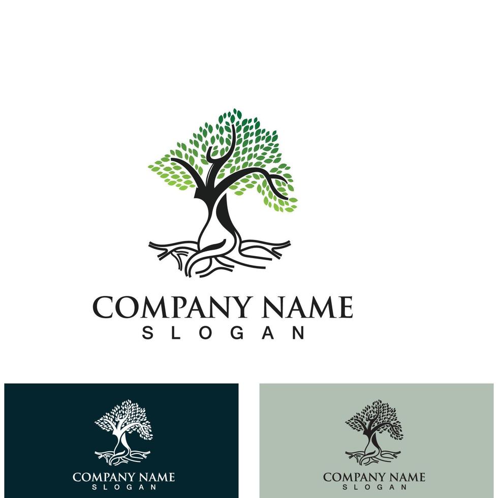 Tree logo nature design image of tree ecology element vector