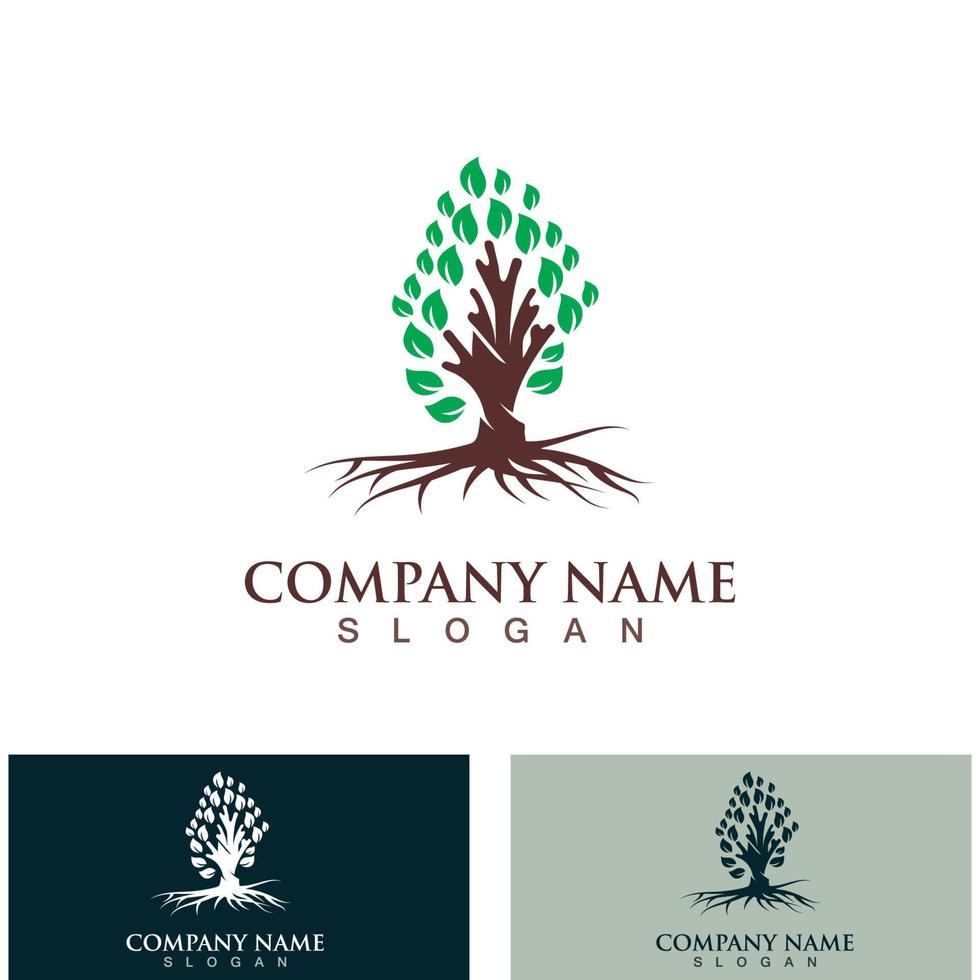 Tree logo nature design image of tree ecology element vector