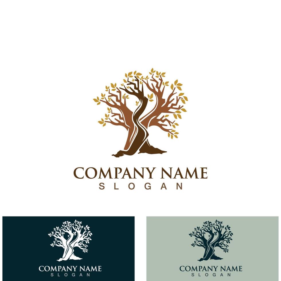 Tree logo nature design image of tree ecology element vector