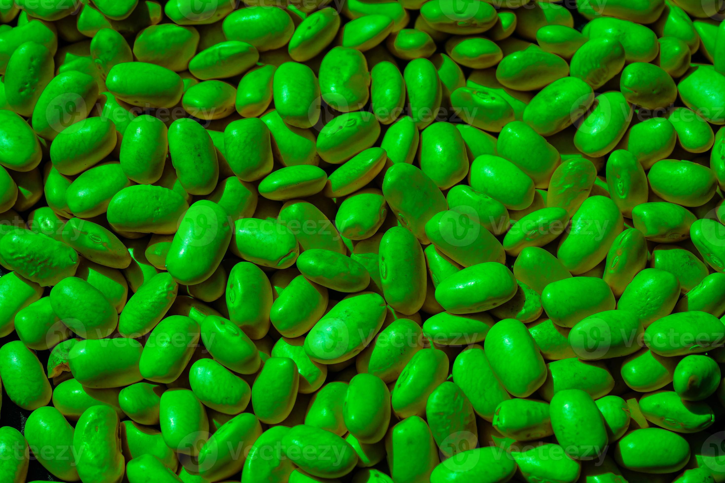 Garden beans Phaseolus vulgaris in the old land next to hamburg