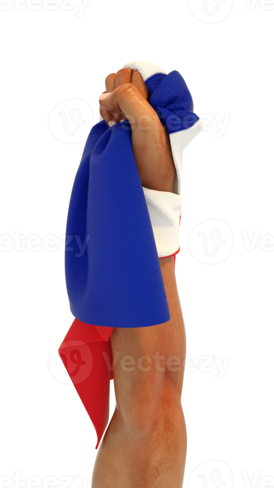 puño de mano sosteniendo la bandera francesa. mano levantada y agarrando la bandera aislada en un fondo transparente. representación 3d de la bandera envuelta alrededor del puño png