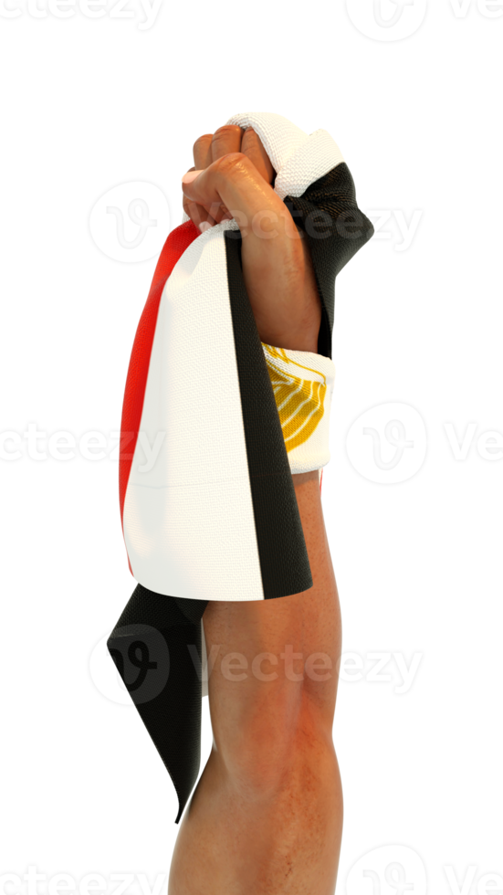 Hand fist holding Egyptian flag. Hand lifted and grabbing flag isolated on transparent background. 3d rendering of Flag wrapped around fist png