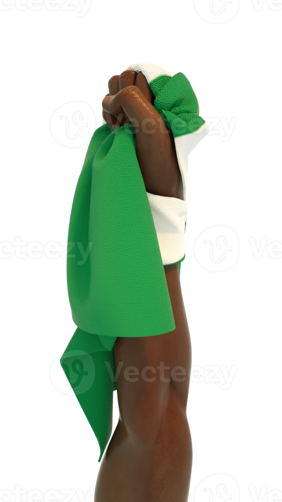 Fisted hand holding Nigerian flag. Hand lifted and grabbing flag isolated on transparent background. 3d rendering of Flag wrapped around fist png