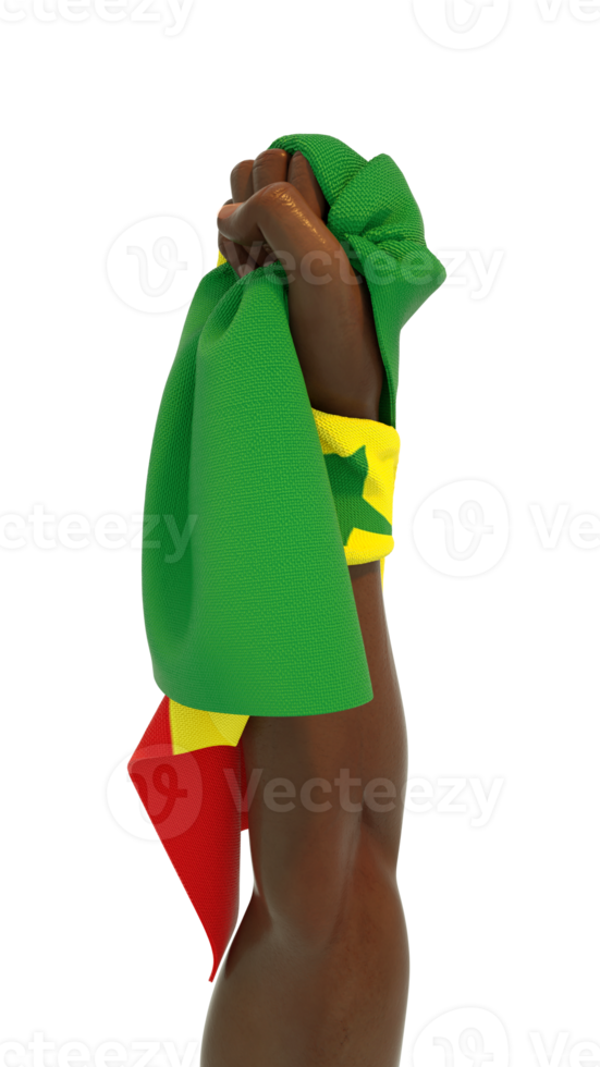 mano con puño que sostiene la bandera senegalesa. mano levantada y agarrando la bandera firmemente aislada en un fondo transparente. representación 3d de la bandera envuelta alrededor del puño png