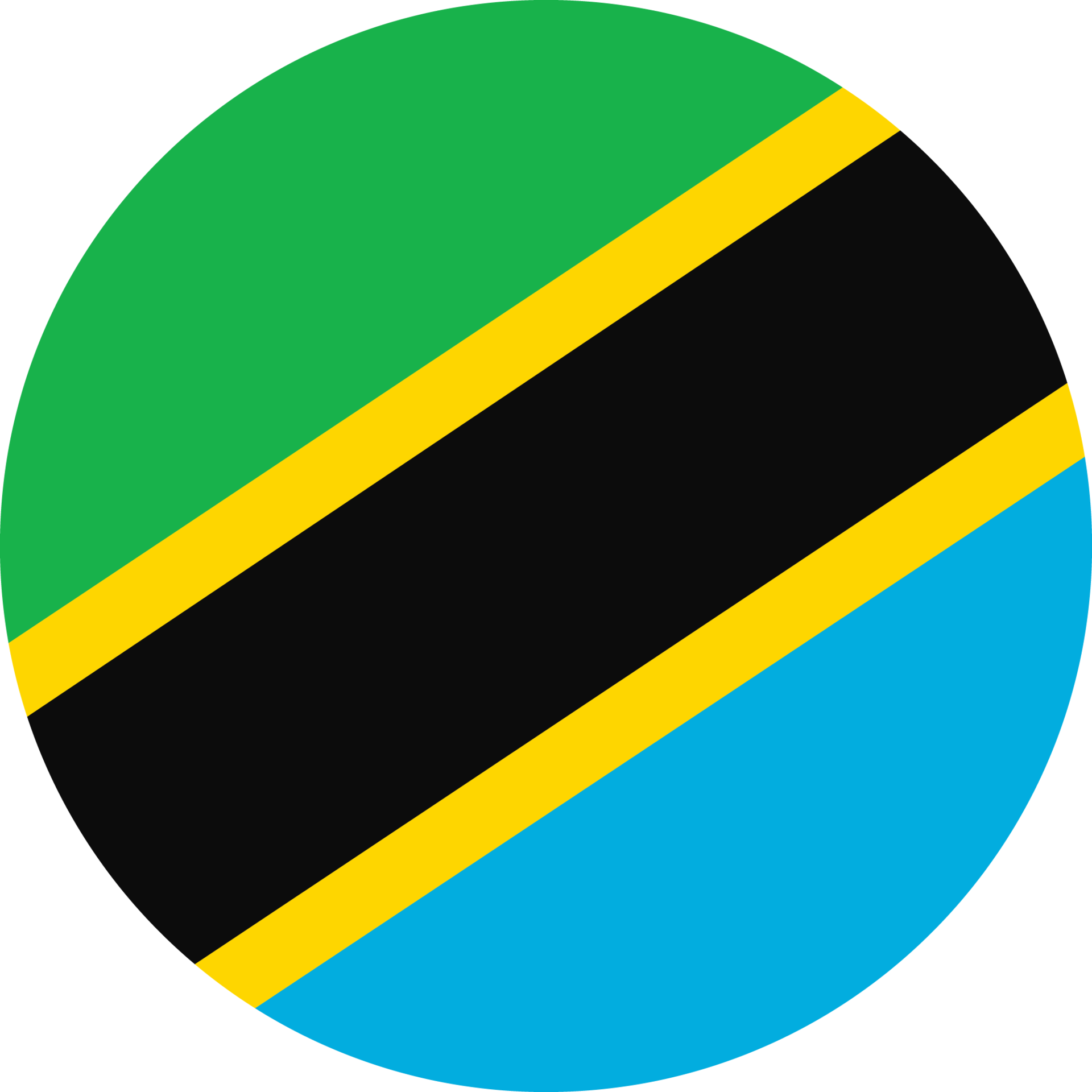 cerchio bandiera di Tanzania. 11571231 PNG