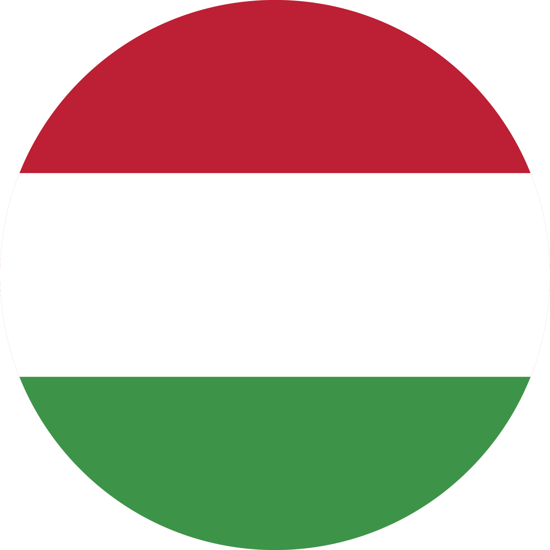 Circle flag of Hungary. 11571355 PNG