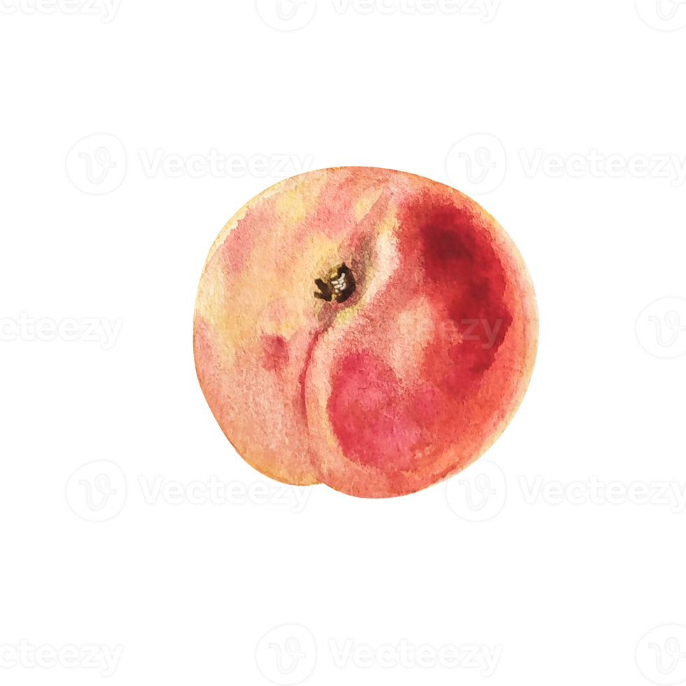 tranche de fruit pêche aquarelle png