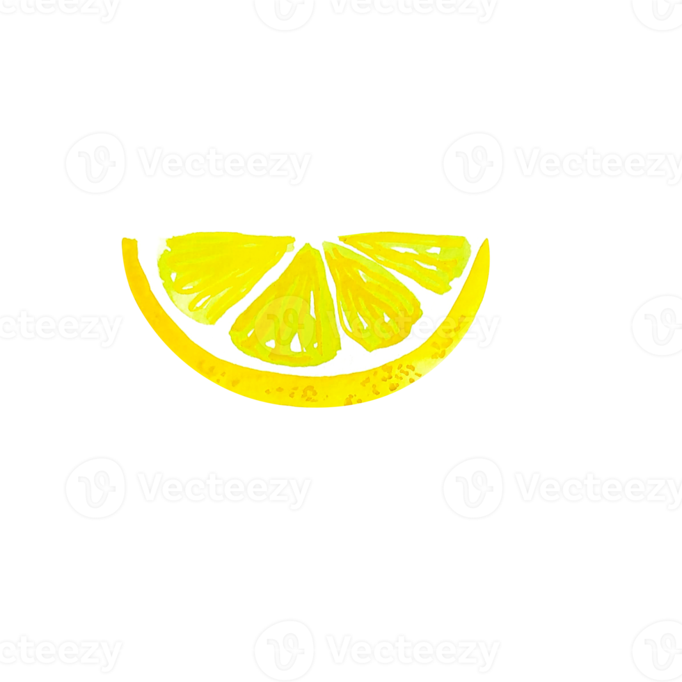 vattenfärg citrus- citron- skiva png