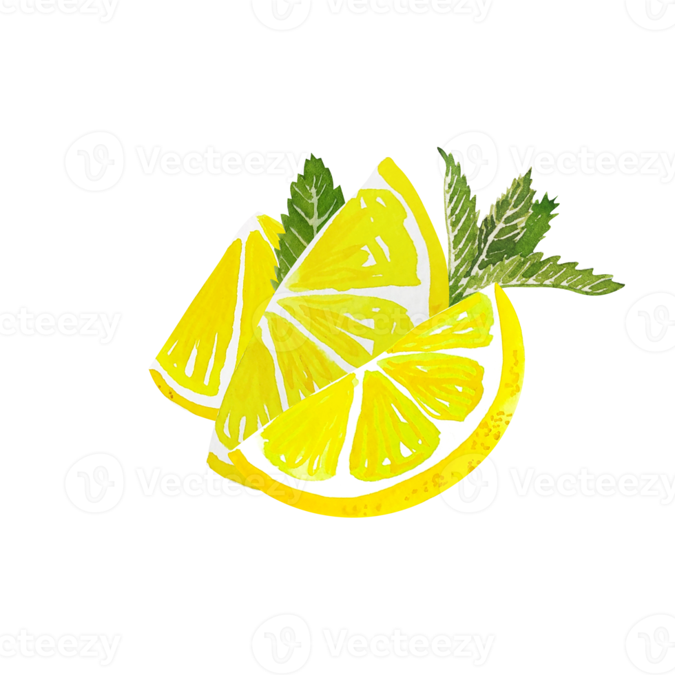 vattenfärg citrus- citron- skiva png