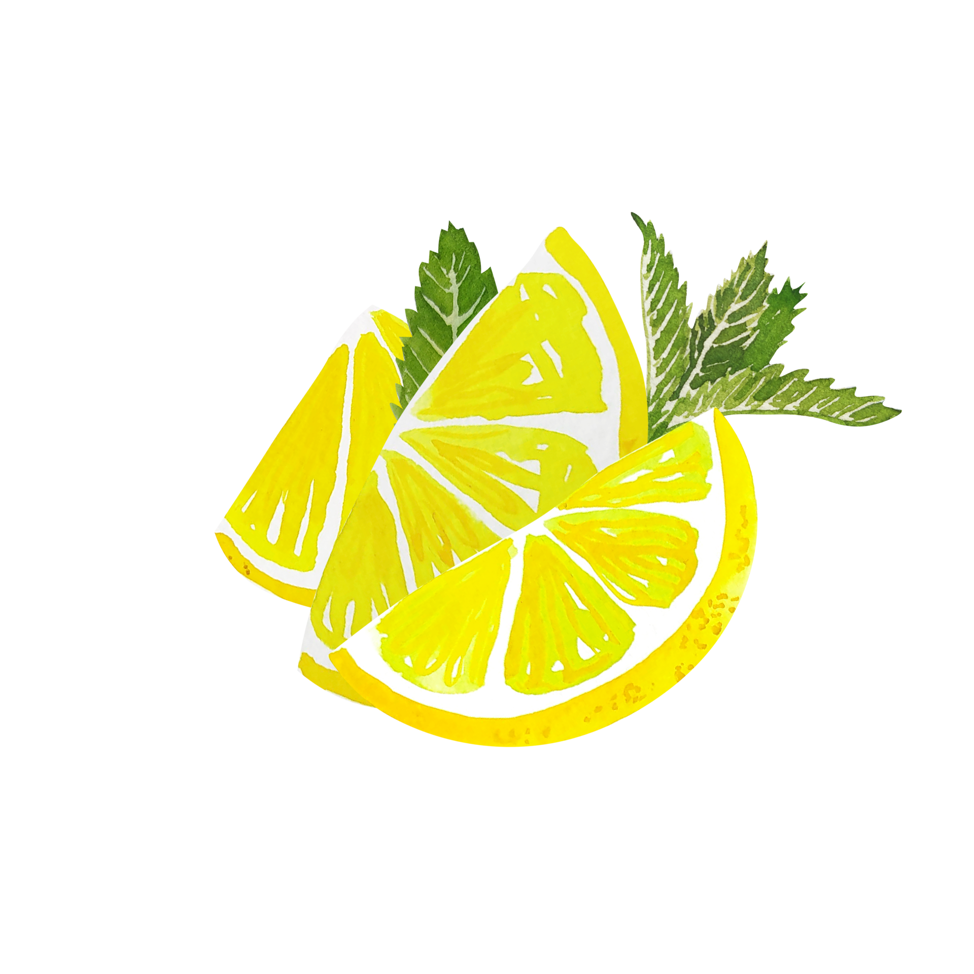 Watercolor citrus lemon slice 11571879 PNG
