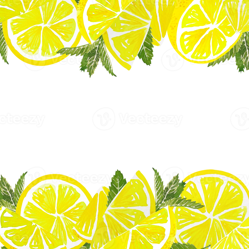 Watercolor citrus lemon slice png