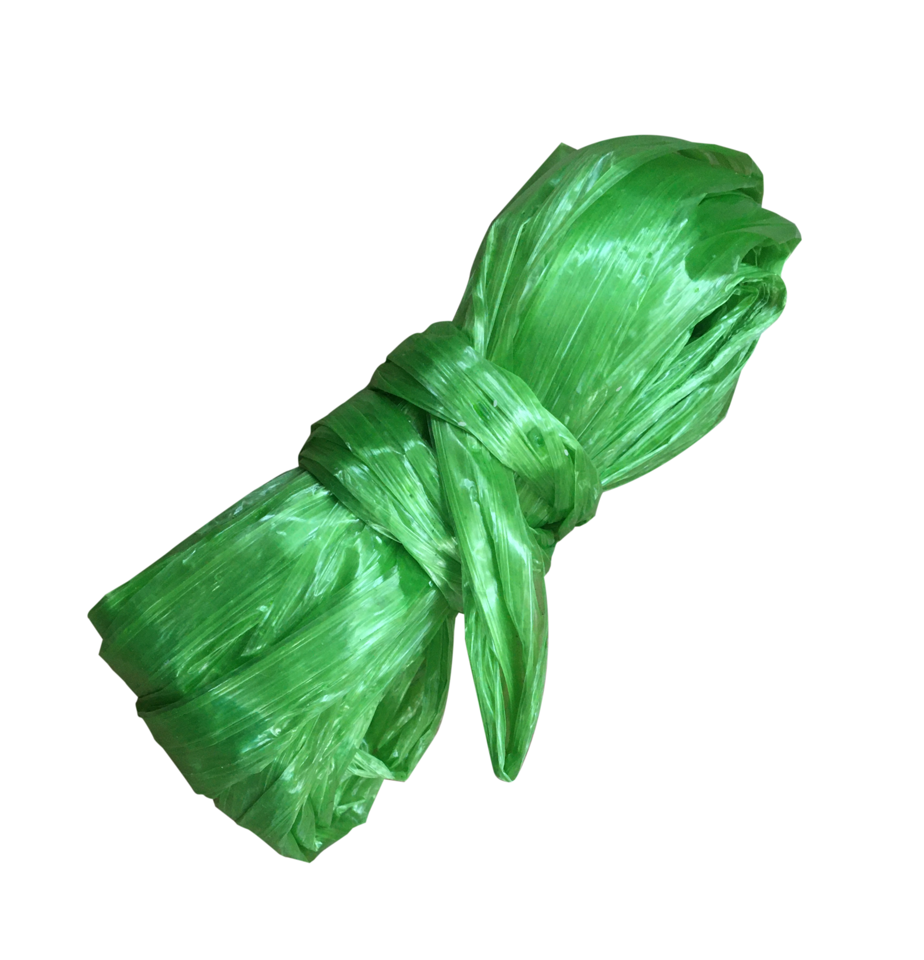 Green roll of raffia or plastic rope isolated on a white