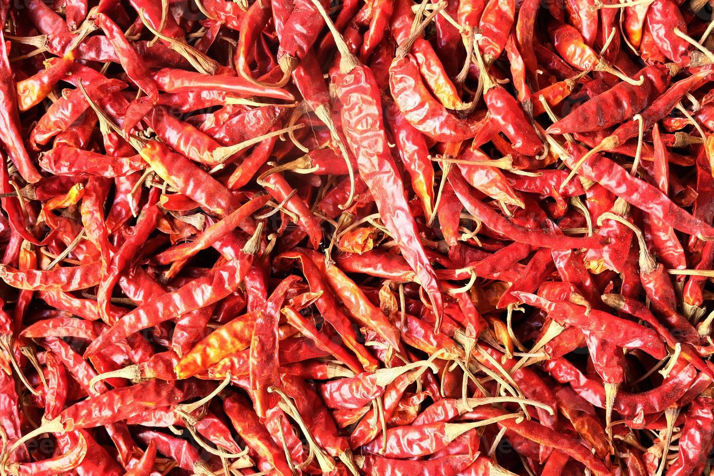 Red dried chillies background, Chillies texture photo