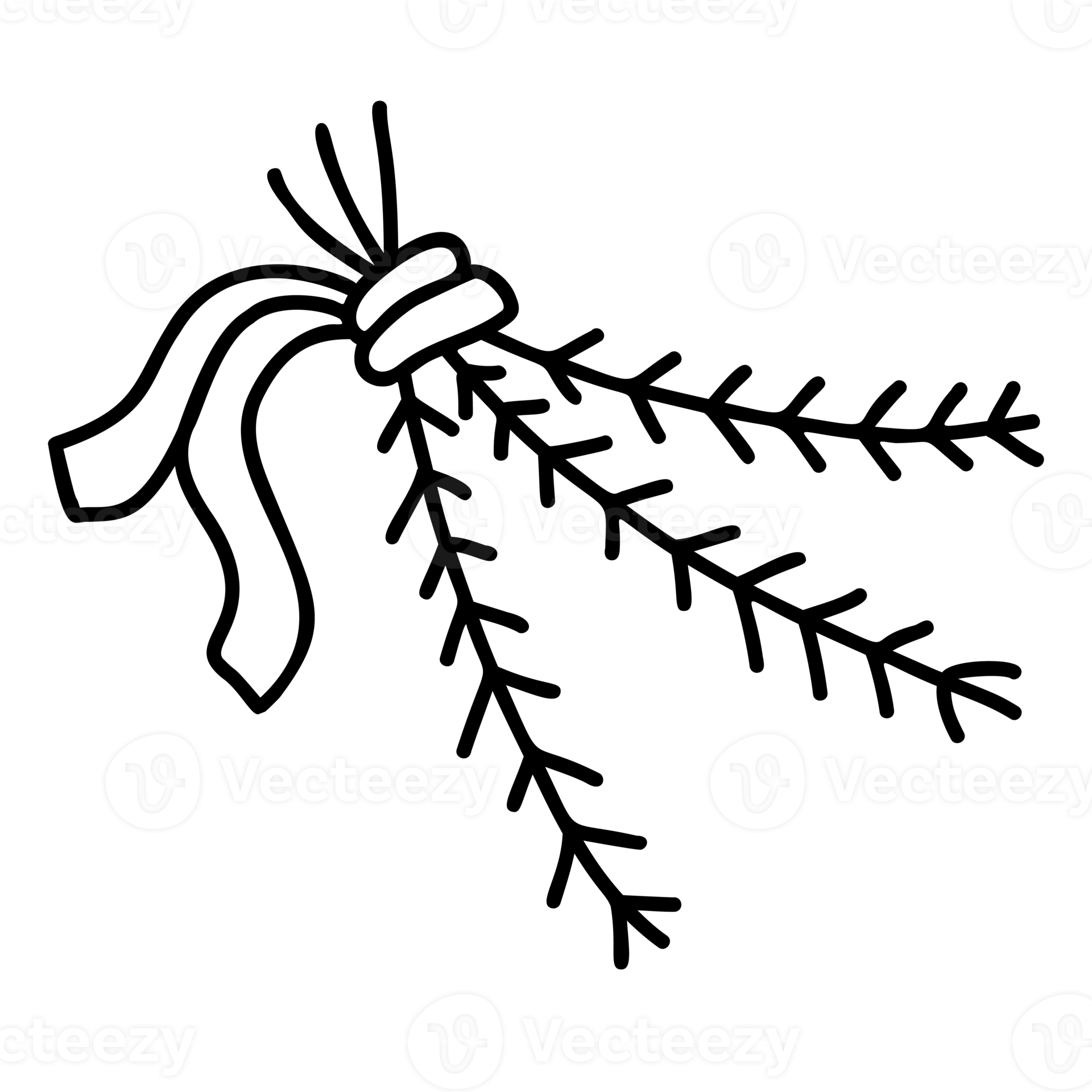 Bouquet of Christmas tree branches 11572324 PNG