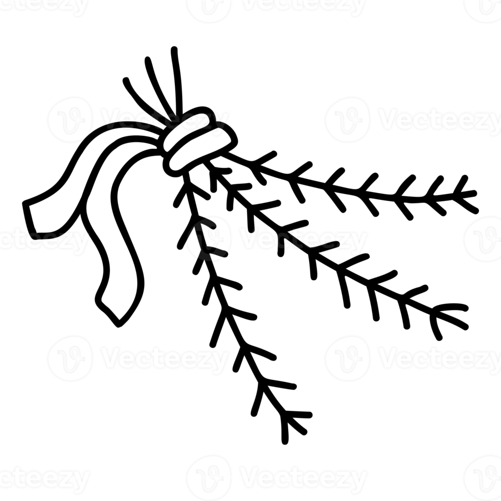 Bouquet of Christmas tree branches 11572324 PNG