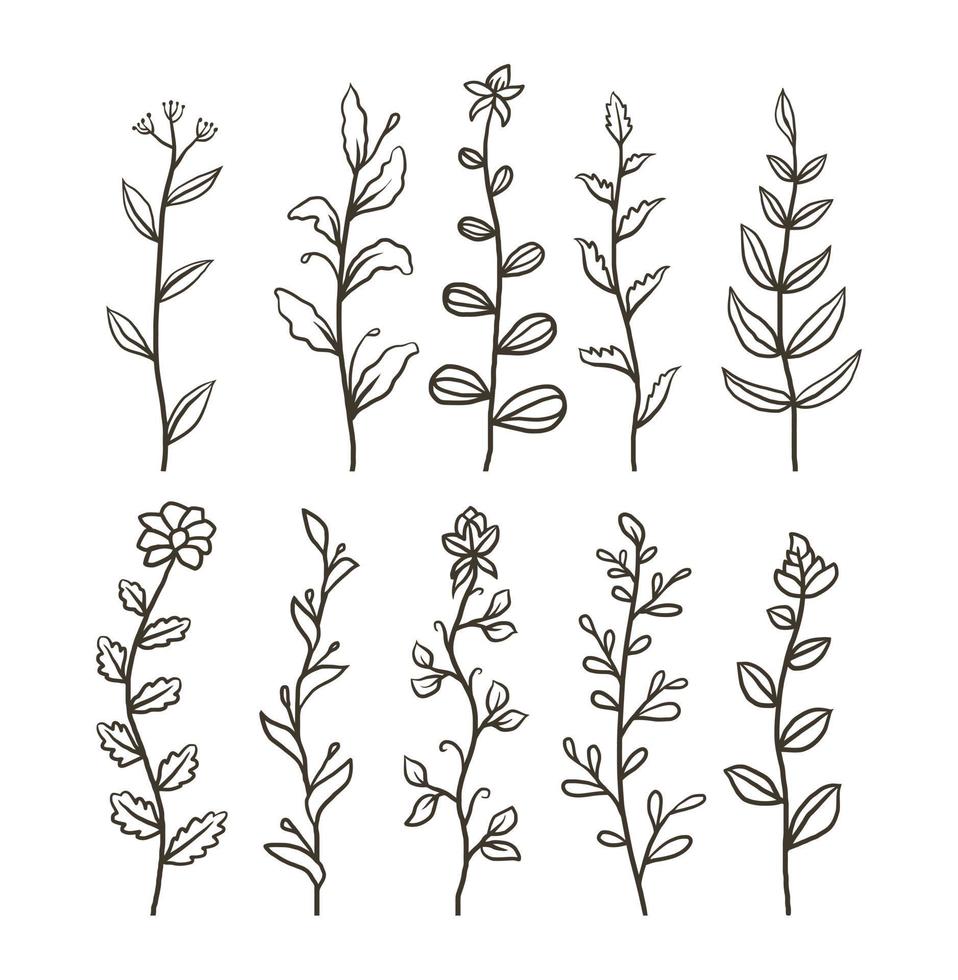 Set of floral, hand drawn line art vector illustration