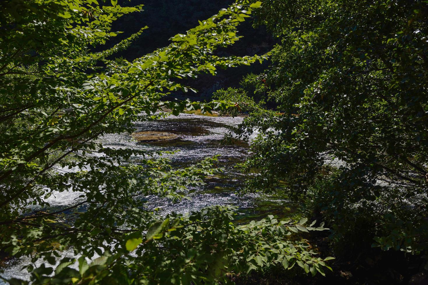 View of a waterfall photo