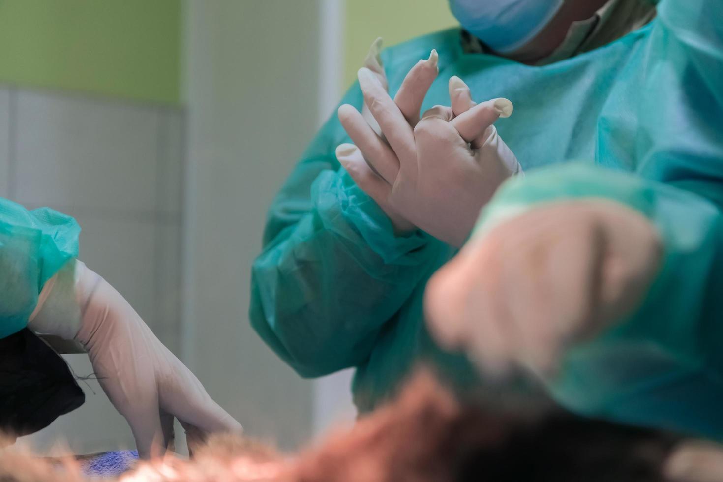 Real abdominal surgery on a cat in a hospital setting photo