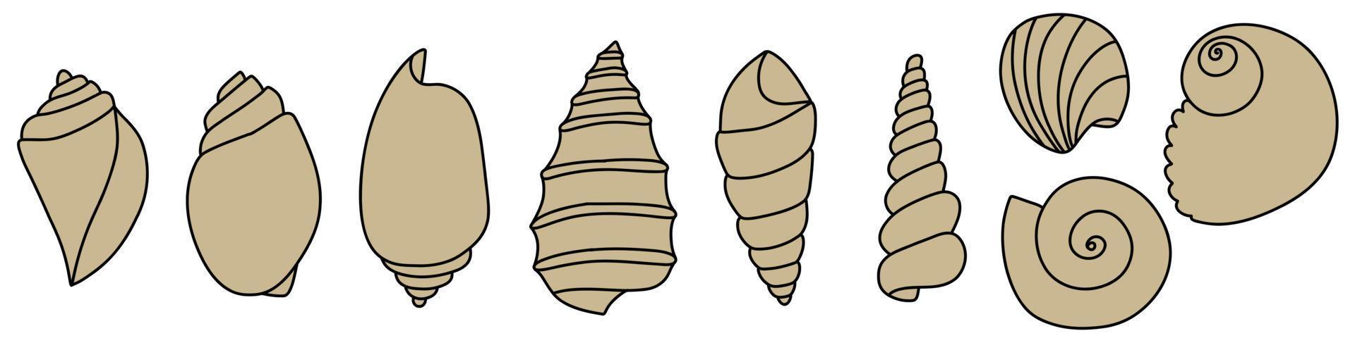 Set of line art sketch seashells. Vector illustration isolated from background. Decoration symbol of health calcium. Different shapes of shells. Sea ocean icon. Sand and beach design.