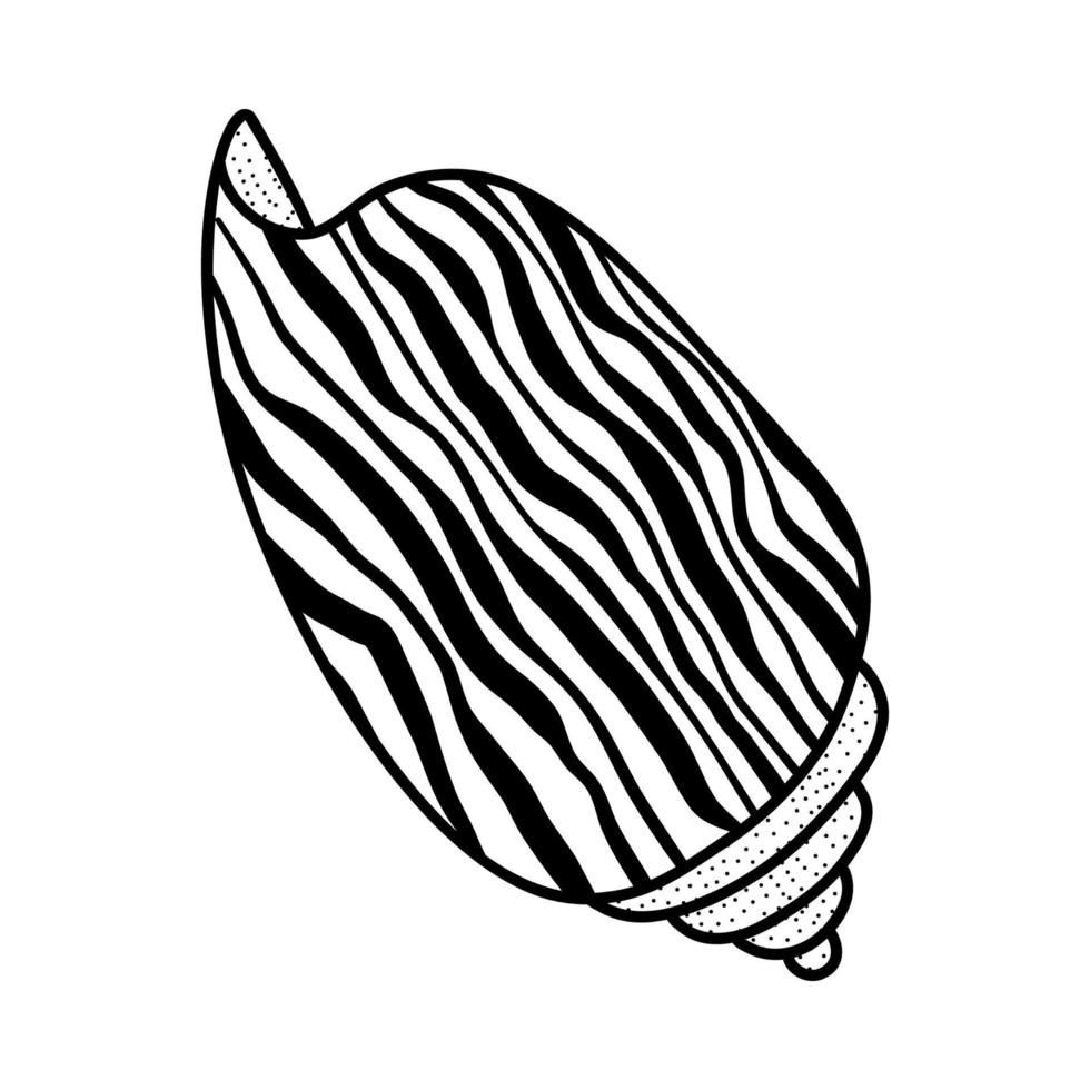 boceto de arte lineal conchas marinas. ilustración vectorial aislada del fondo. símbolo de decoración del calcio de la salud. diferentes formas de conchas. icono del océano marino. diseño de arena y playa. vector