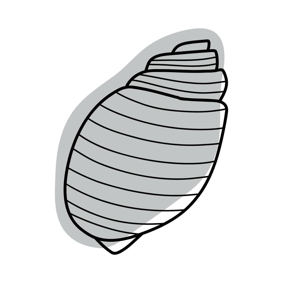 boceto de arte lineal conchas marinas. ilustración vectorial aislada del fondo. símbolo de decoración del calcio de la salud. diferentes formas de conchas. icono del océano marino. diseño de arena y playa. vector