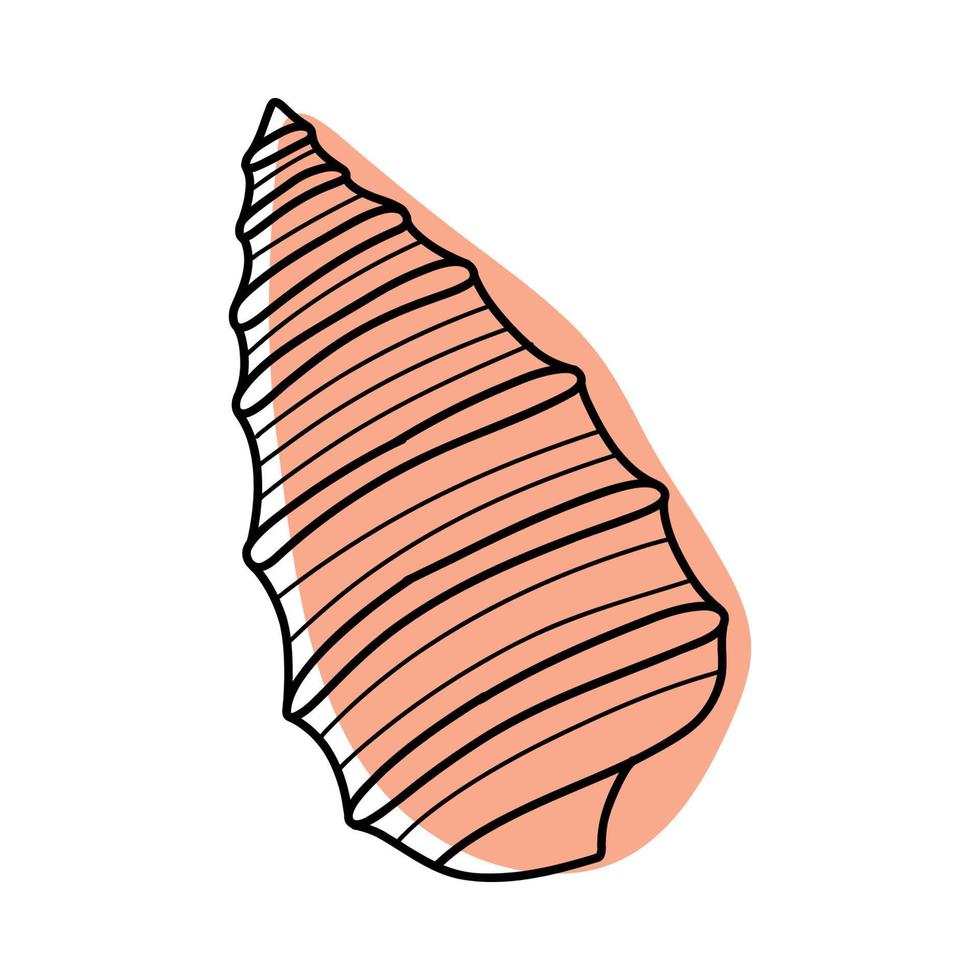 boceto de arte lineal conchas marinas. ilustración vectorial aislada del fondo. símbolo de decoración del calcio de la salud. diferentes formas de conchas. icono del océano marino. diseño de arena y playa. vector