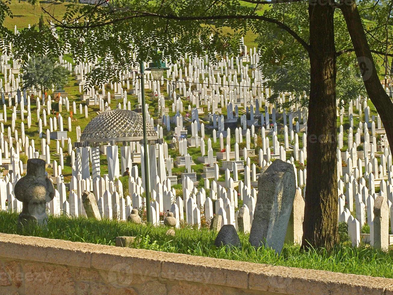 vista de un cementerio foto