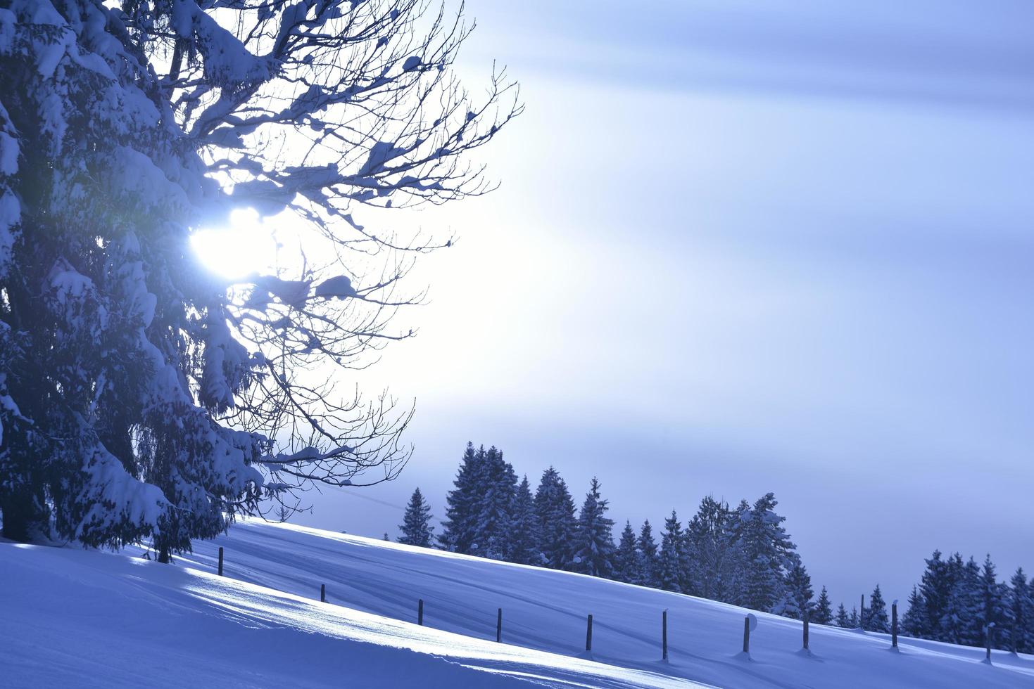 mountain winter landscape photo