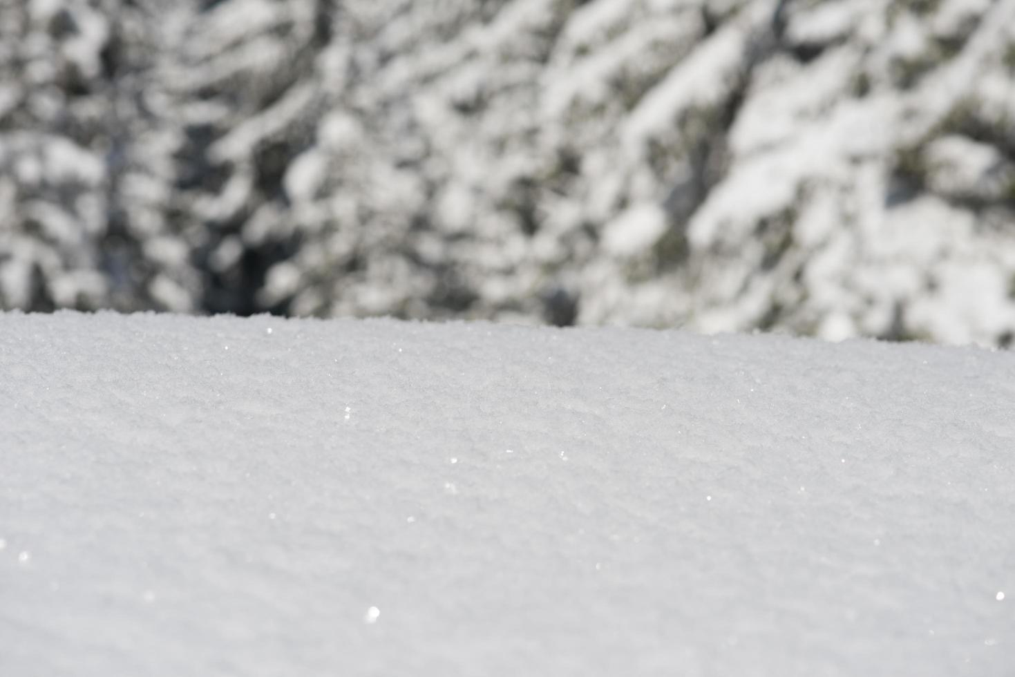 Winter snow background photo