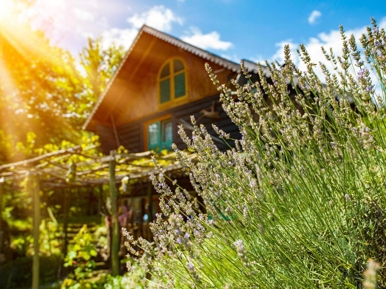 wooden  cotage house photo