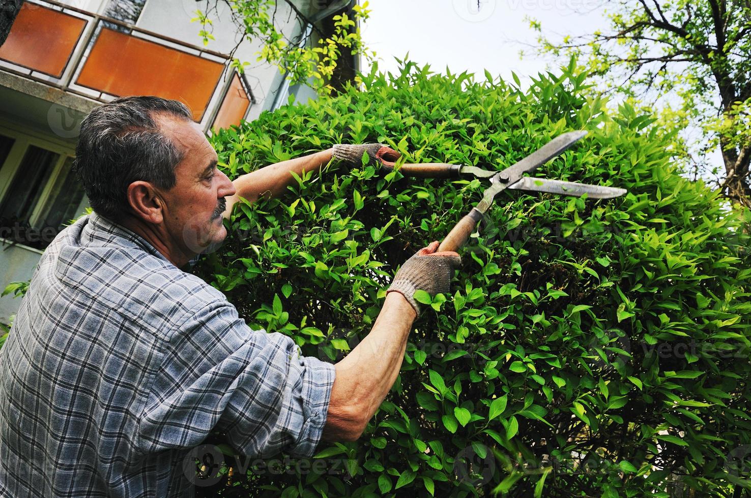 man garden work photo